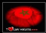 mon petit monde